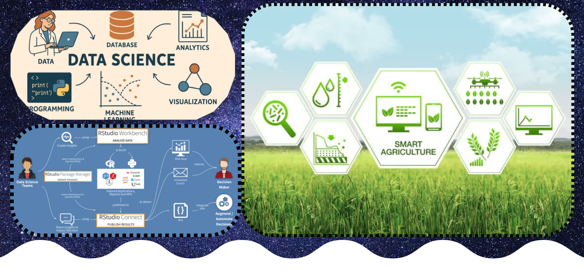 Agricultural Research Field