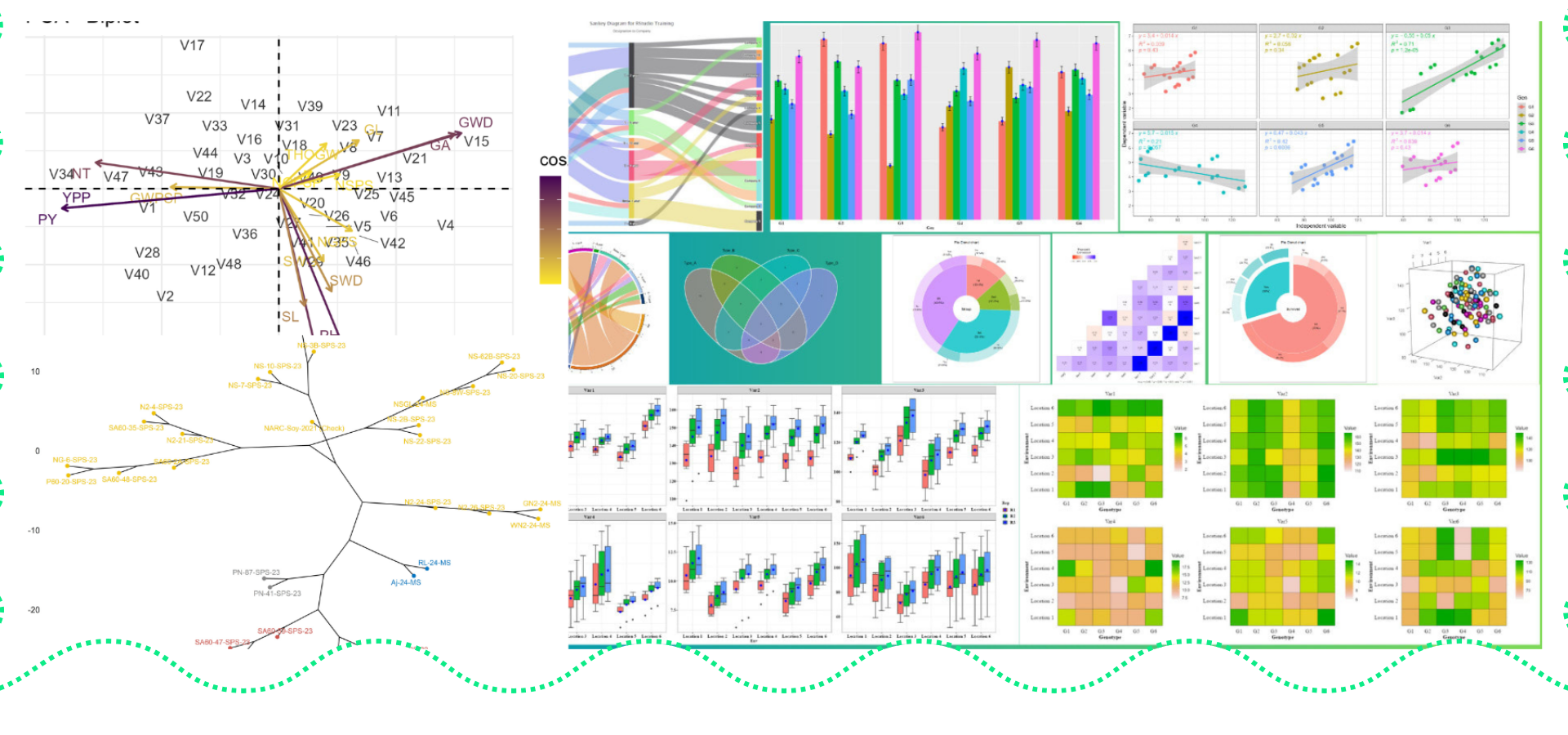 Data Science and Research